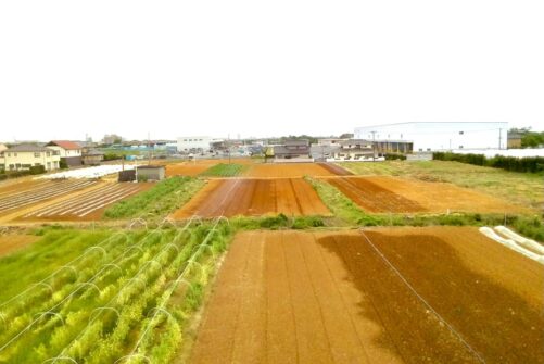 農園でヨガ〜収穫体験&外ヨガ！〜浜松市北区都田町